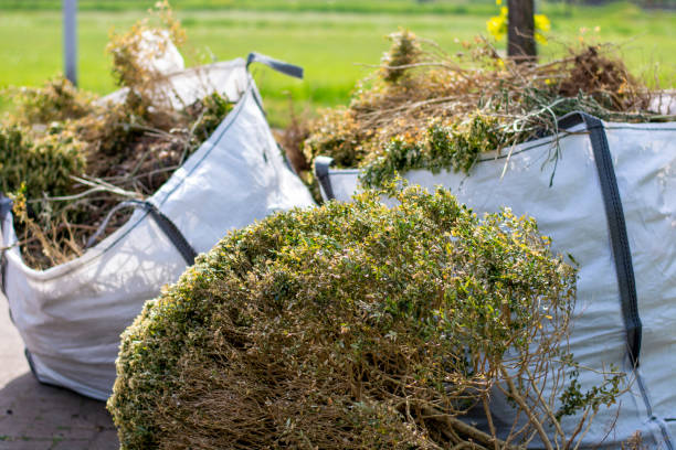 Professional Junk Removal Services in Commercial Point, OH